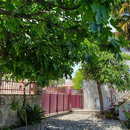 In With Sea View, Terrace, Air Conditioning, Wifi *